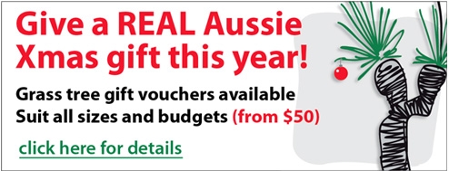 Xmas Gift Voucher Xmas Gift Voucher